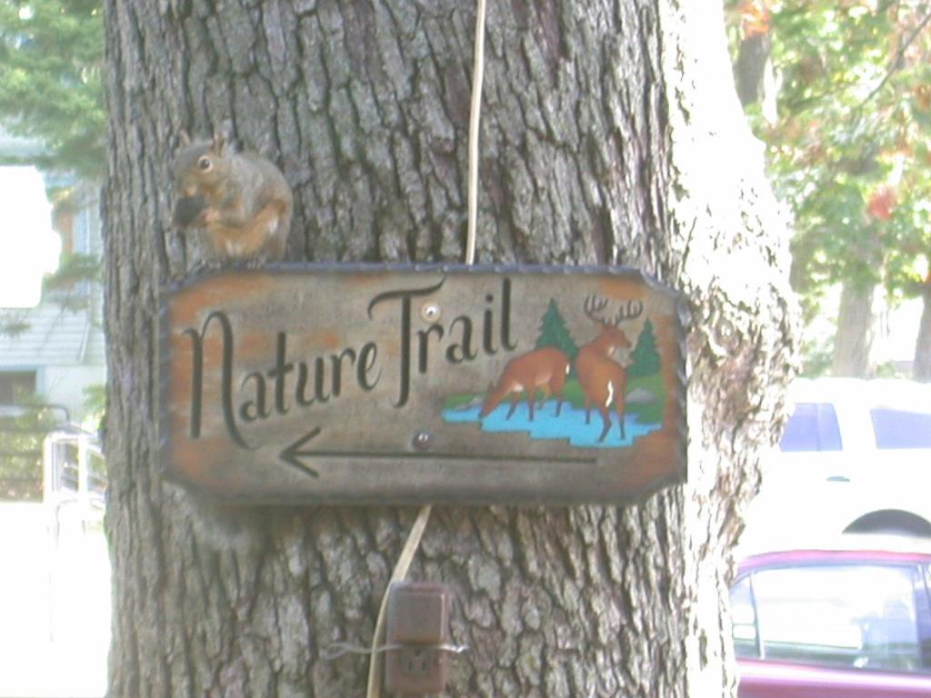 Indian Trail Motel Wisconsin Dells Exterior foto